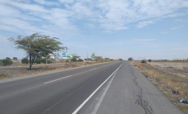 AMPLIO  TERRENO EN VENTA – CARRETERA PIURA - PAITA