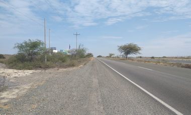 AMPLIO  TERRENO EN VENTA – CARRETERA PIURA - PAITA
