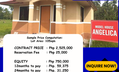 LOW COST HOUSING PANABO Rowhouse in La Eldaria Subdivision Panabo City