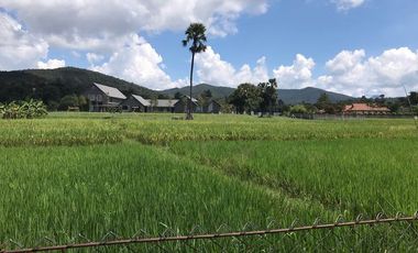Land sale rice fields 3-1-13 rai, 4MB, Huay Sai Subdistrict, San Kamphaeng District, Chiang Mai.