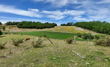 Golondrina Sur Vende Parcelas en Los Muermos, Los Lagos