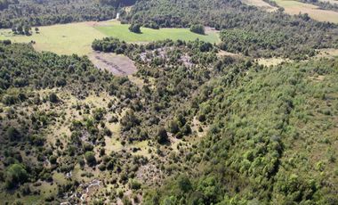 Golondrina Sur Vende Parcelas en Los Muermos, Los Lagos