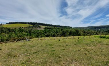 Golondrina Sur Vende Parcelas en Los Muermos, Los Lagos