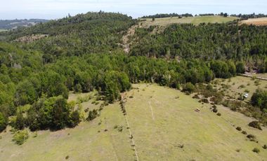 Golondrina Sur Vende Parcelas en Los Muermos, Los Lagos