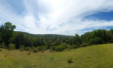 Golondrina Sur Vende Parcelas en Los Muermos, Los Lagos