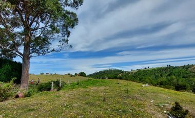 Golondrina Sur Vende Parcelas en Los Muermos, Los Lagos