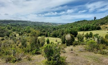 Golondrina Sur Vende Parcelas en Los Muermos, Los Lagos
