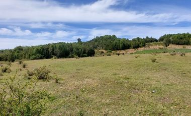 Golondrina Sur Vende Parcelas en Los Muermos, Los Lagos