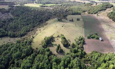 Golondrina Sur Vende Parcelas en Los Muermos, Los Lagos