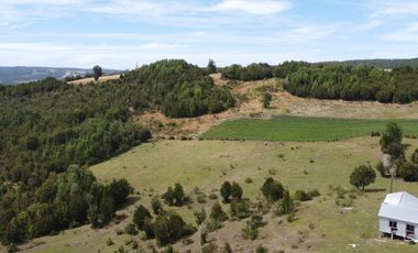 Golondrina Sur Vende Parcelas en Los Muermos, Los Lagos