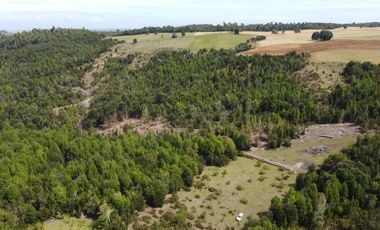 Golondrina Sur Vende Parcelas en Los Muermos, Los Lagos