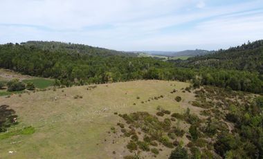 Golondrina Sur Vende Parcelas en Los Muermos, Los Lagos