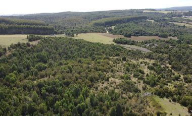 Golondrina Sur Vende Parcelas en Los Muermos, Los Lagos