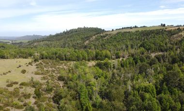 Golondrina Sur Vende Parcelas en Los Muermos, Los Lagos