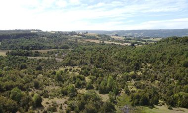 Golondrina Sur Vende Parcelas en Los Muermos, Los Lagos