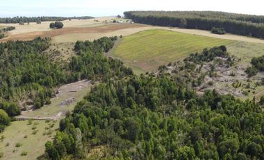 Golondrina Sur Vende Parcelas en Los Muermos, Los Lagos