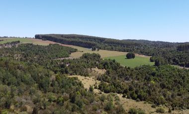 Golondrina Sur Vende Parcelas en Los Muermos, Los Lagos