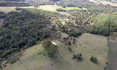 Golondrina Sur Vende Parcelas en Los Muermos, Los Lagos