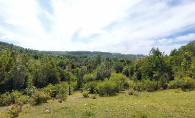 Golondrina Sur Vende Parcelas en Los Muermos, Los Lagos