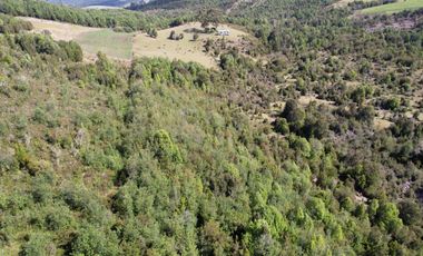 Golondrina Sur Vende Parcelas en Los Muermos, Los Lagos