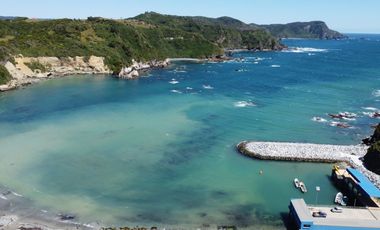 Golondrina Sur Vende Parcelas en Los Muermos, Los Lagos