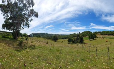 Golondrina Sur Vende Parcelas en Los Muermos, Los Lagos