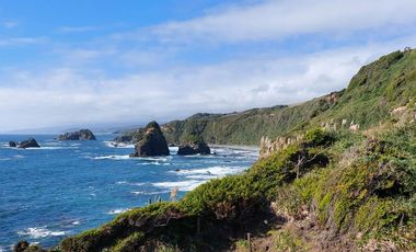 Golondrina Sur Vende Parcelas en Los Muermos, Los Lagos