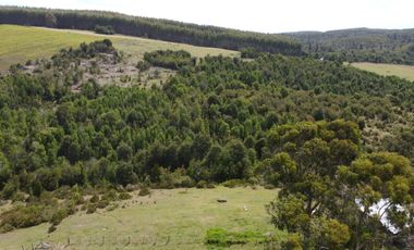 Golondrina Sur Vende Parcelas en Los Muermos, Los Lagos
