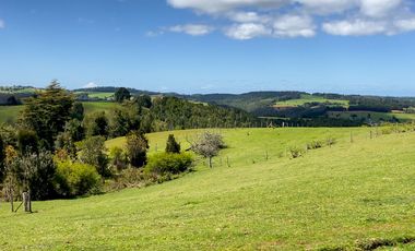 Campo agrícola en venta de 44,6 hectáreas en Los Muermos