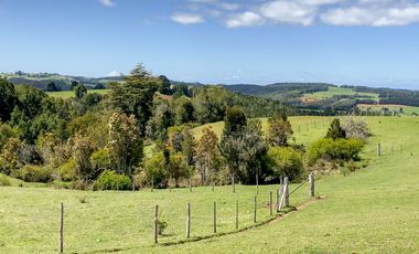 Campo agrícola en venta de 44,6 hectáreas en Los Muermos