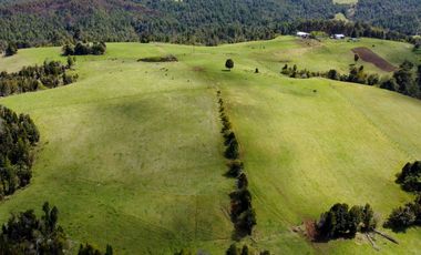 Campo agrícola en venta de 44,6 hectáreas en Los Muermos