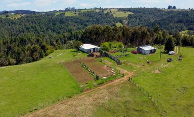 Campo agrícola en venta de 44,6 hectáreas en Los Muermos
