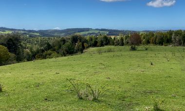Campo agrícola en venta de 44,6 hectáreas en Los Muermos