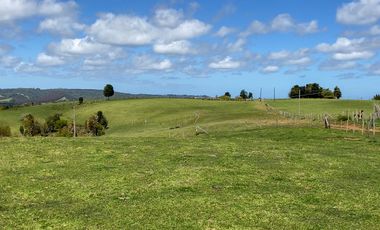 Campo agrícola en venta de 44,6 hectáreas en Los Muermos