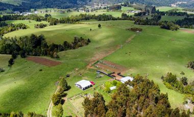 Campo agrícola en venta de 44,6 hectáreas en Los Muermos