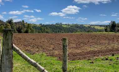Campo agrícola en venta de 44,6 hectáreas en Los Muermos