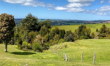 Campo agrícola en venta de 44,6 hectáreas en Los Muermos