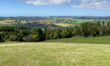 Campo agrícola en venta de 44,6 hectáreas en Los Muermos