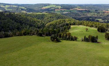 Campo agrícola en venta de 44,6 hectáreas en Los Muermos