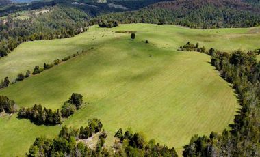 Campo agrícola en venta de 44,6 hectáreas en Los Muermos