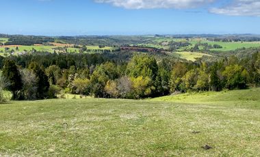 Campo agrícola en venta de 44,6 hectáreas en Los Muermos