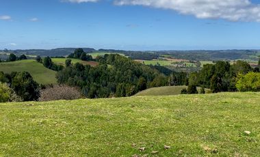 Campo agrícola en venta de 44,6 hectáreas en Los Muermos