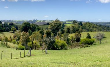 Campo agrícola en venta de 44,6 hectáreas en Los Muermos