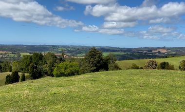 Campo agrícola en venta de 44,6 hectáreas en Los Muermos