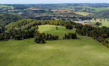 Campo agrícola en venta de 44,6 hectáreas en Los Muermos