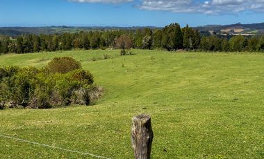 Campo agrícola en venta de 44,6 hectáreas en Los Muermos