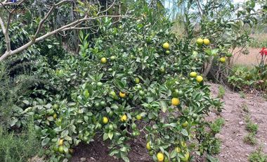 Venta de casa de campo en Otavalo sector Rio Blanco