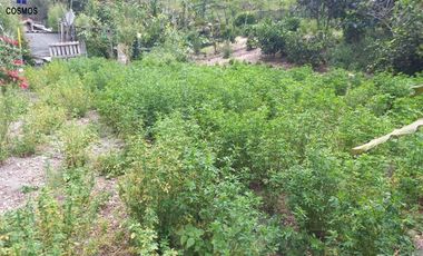 Venta de casa de campo en Otavalo sector Rio Blanco