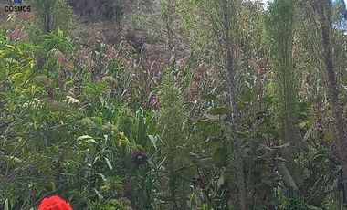 Venta de casa de campo en Otavalo sector Rio Blanco