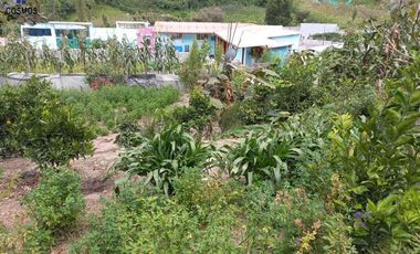 Venta de casa de campo en Otavalo sector Rio Blanco